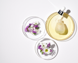 Ampolleta Elasticidad blanqueamiento 20ml | Volume Whitening Ampoule MIGUHARA