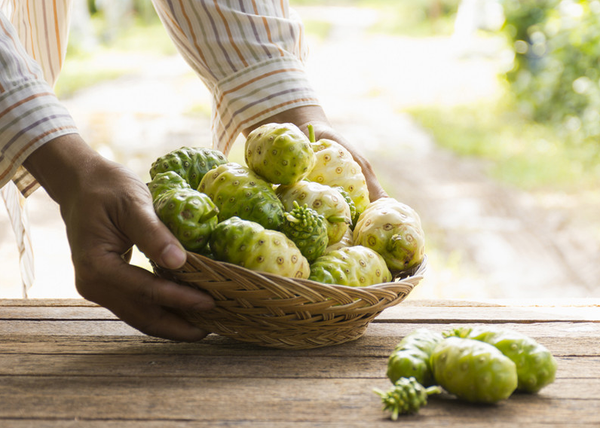 ElaKoKo, El regalo de Dios “Noni”